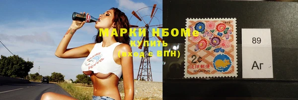 индика Михайловск